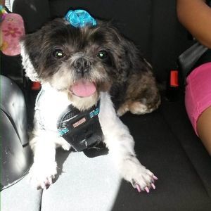 Meet your Posher, Yesenia